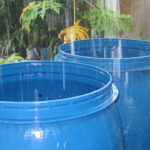 ¿Cómo utilizar el agua de lluvia en el hogar?